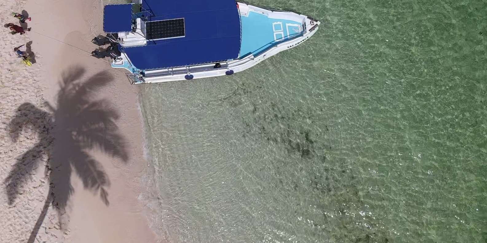 From Punta Cana: Small Group Catalina Island Snorkeling Tour - Obrázek 6