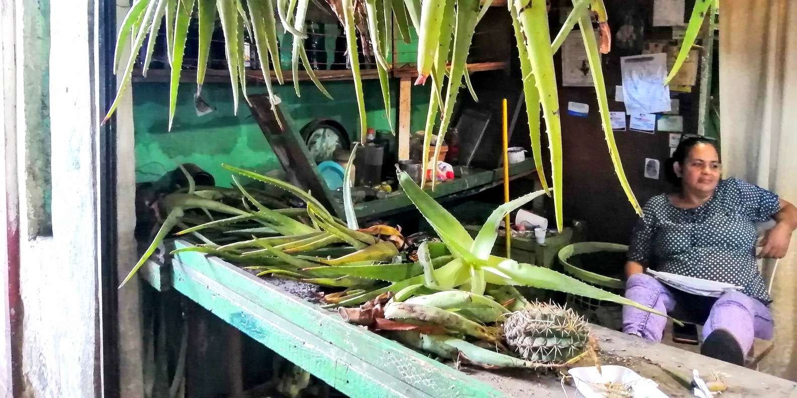 From Puerto Plata Priv: Cocoa, Coffee, Cigars & Local Market - Obrázek 6