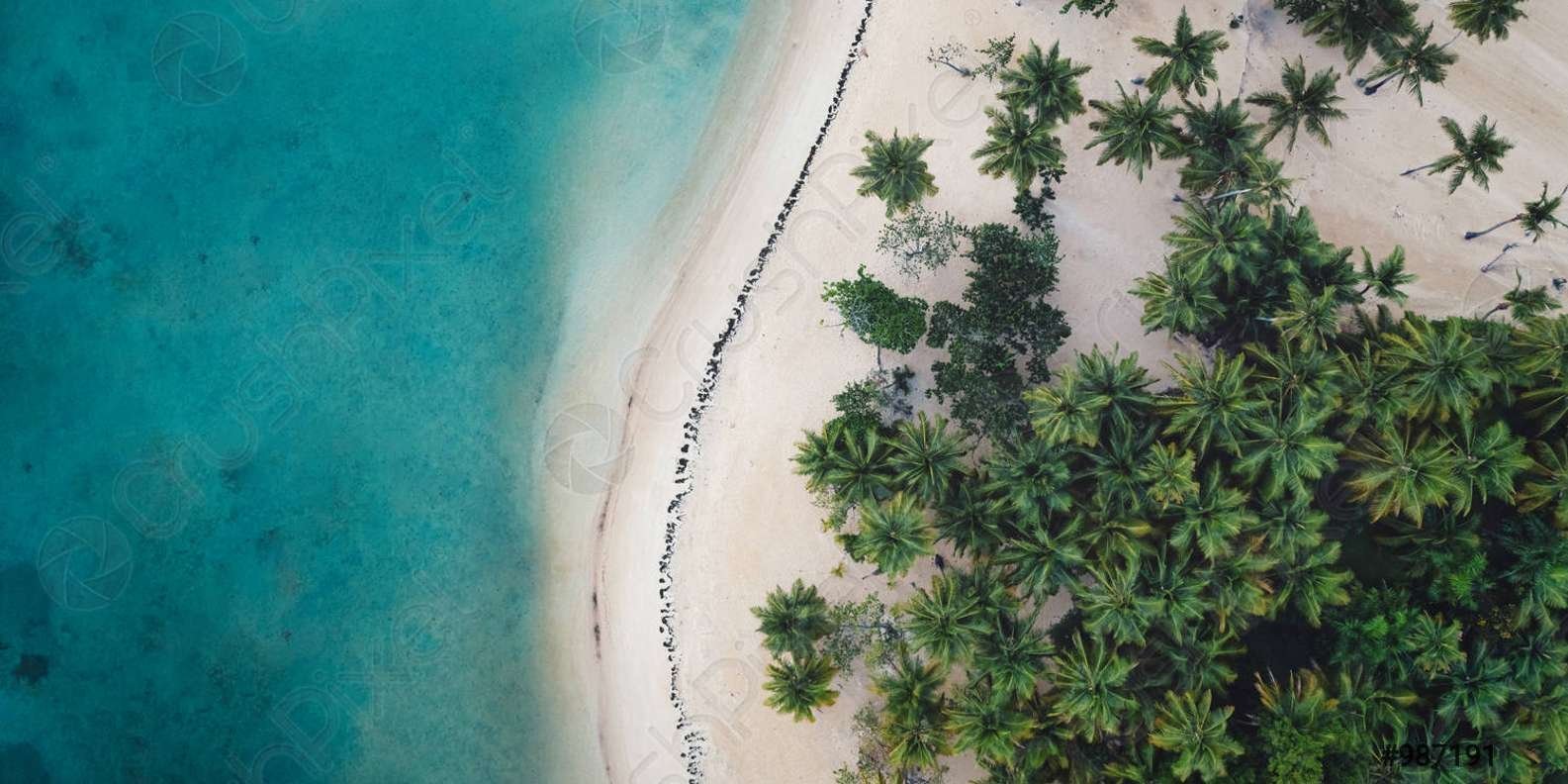 From Santo Domingo: Whale Watching & Cayo Levantado - Obrázek 6
