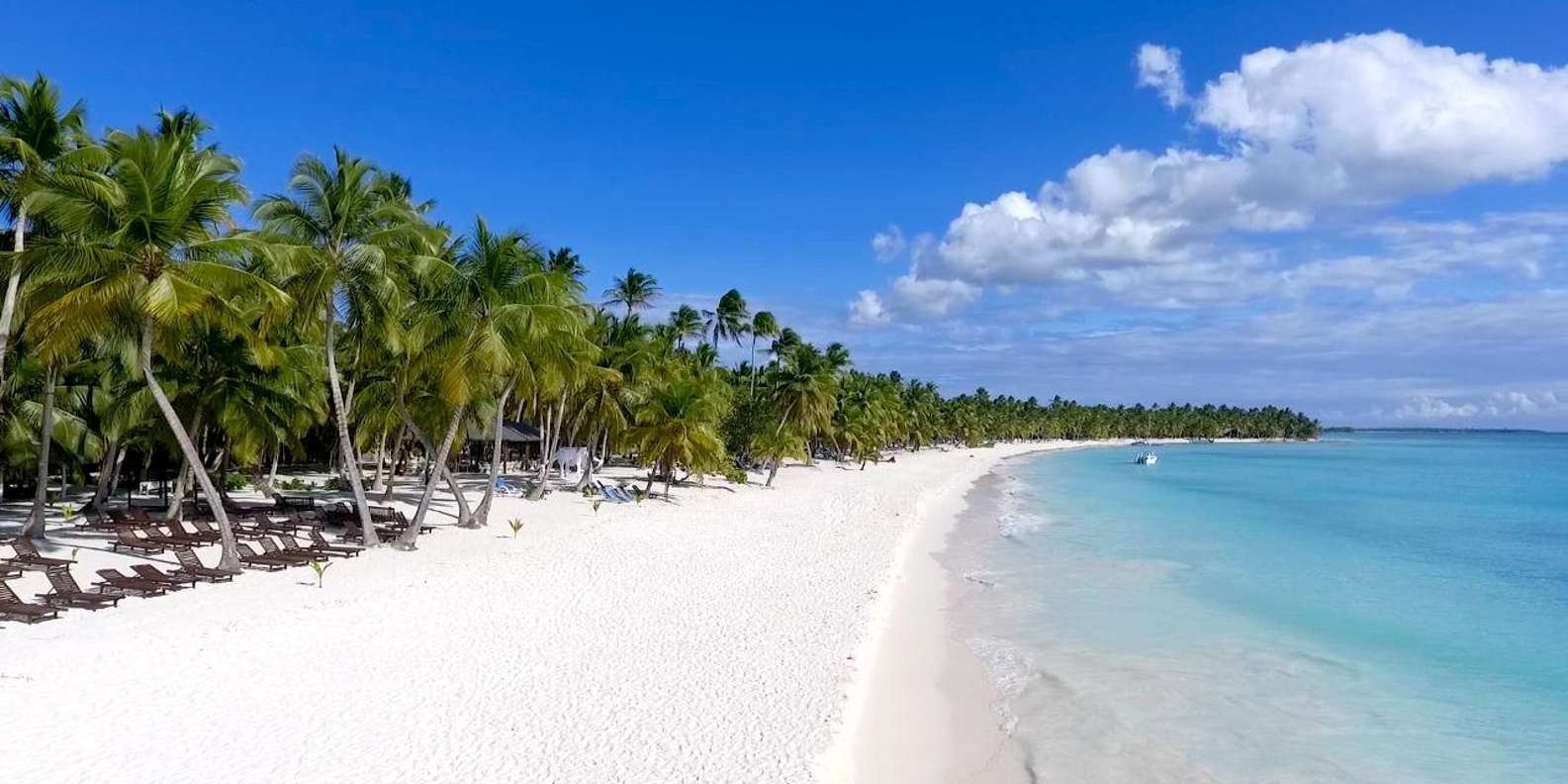 Punta Cana: Saona Island Full Day With Catamaran and Buffet - Image 10