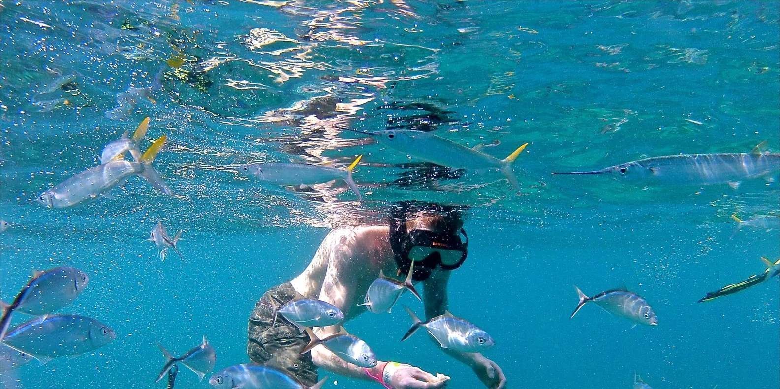 From Punta Cana: Private Catamaran Catalina Island Full-Day - Image 6