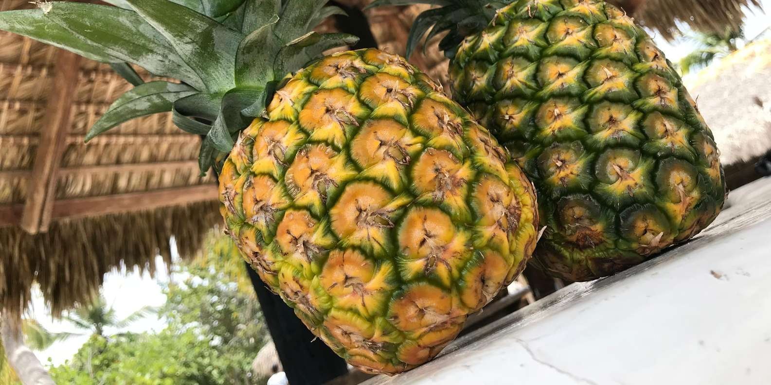 Full-Day Saona Island Tour by Speedboat - Obrázek 6