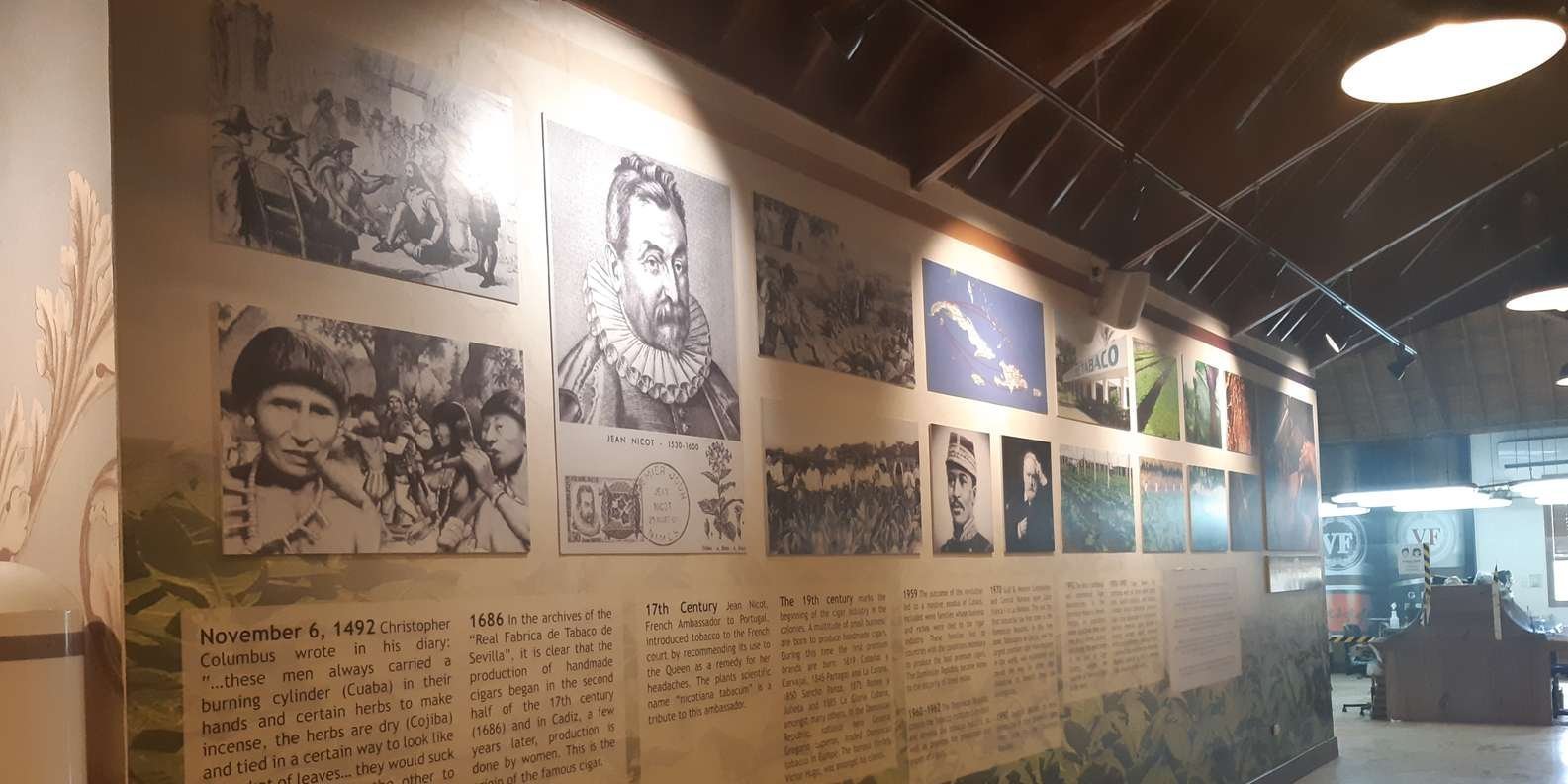 Punta Cana: Dominican Flavors Guided Day Trip - Image 6