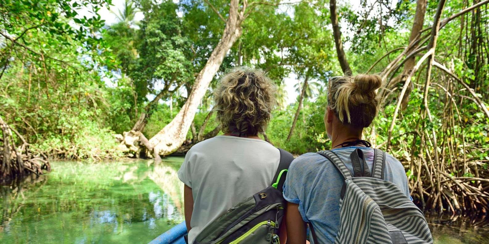 Los Haitises: Boat Excursion and Walking Tour with Lunch - Image 7