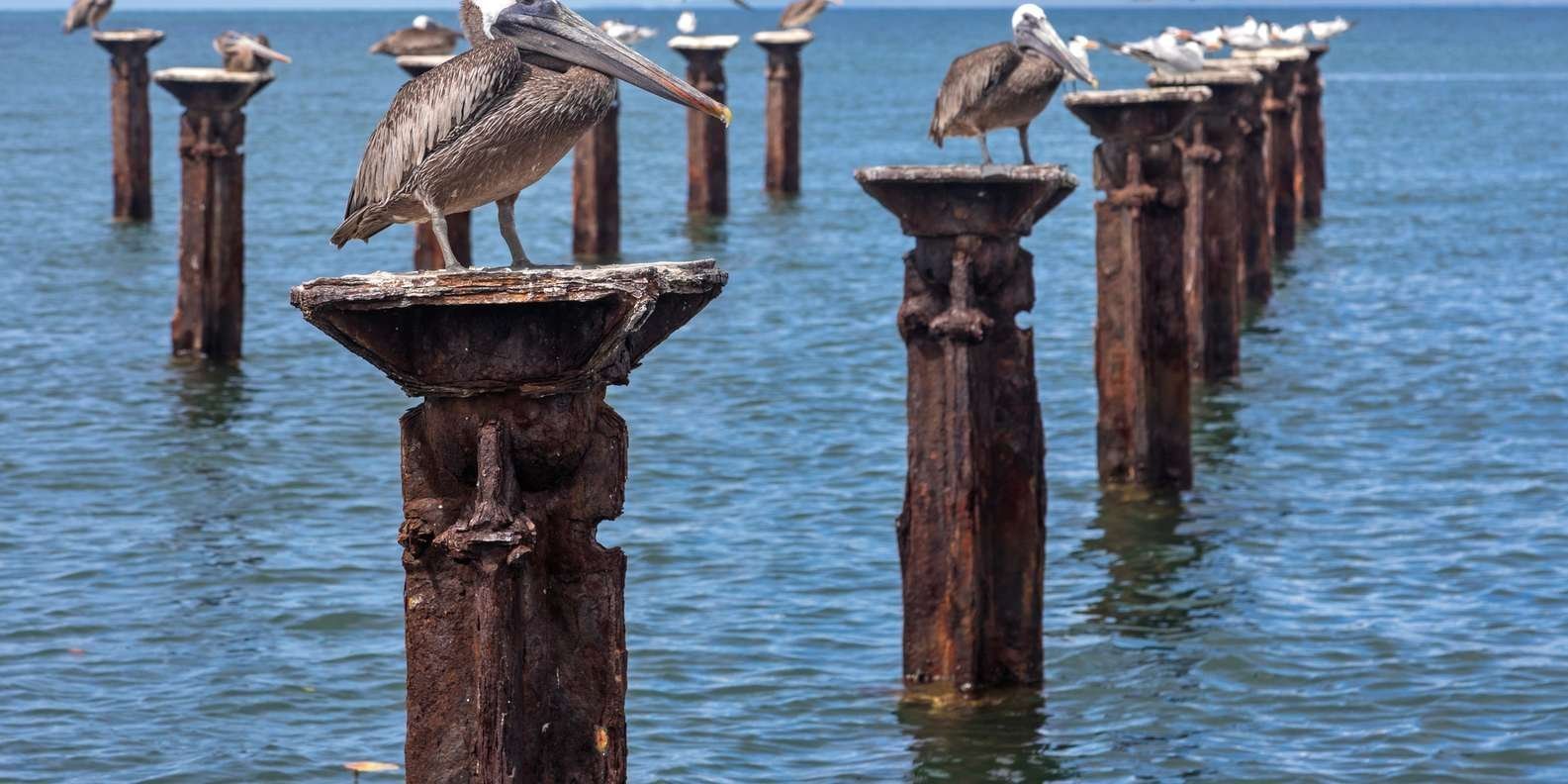 From Punta Cana: Los Haitises and Redonda Mountain Day Trip - Obrázek 8