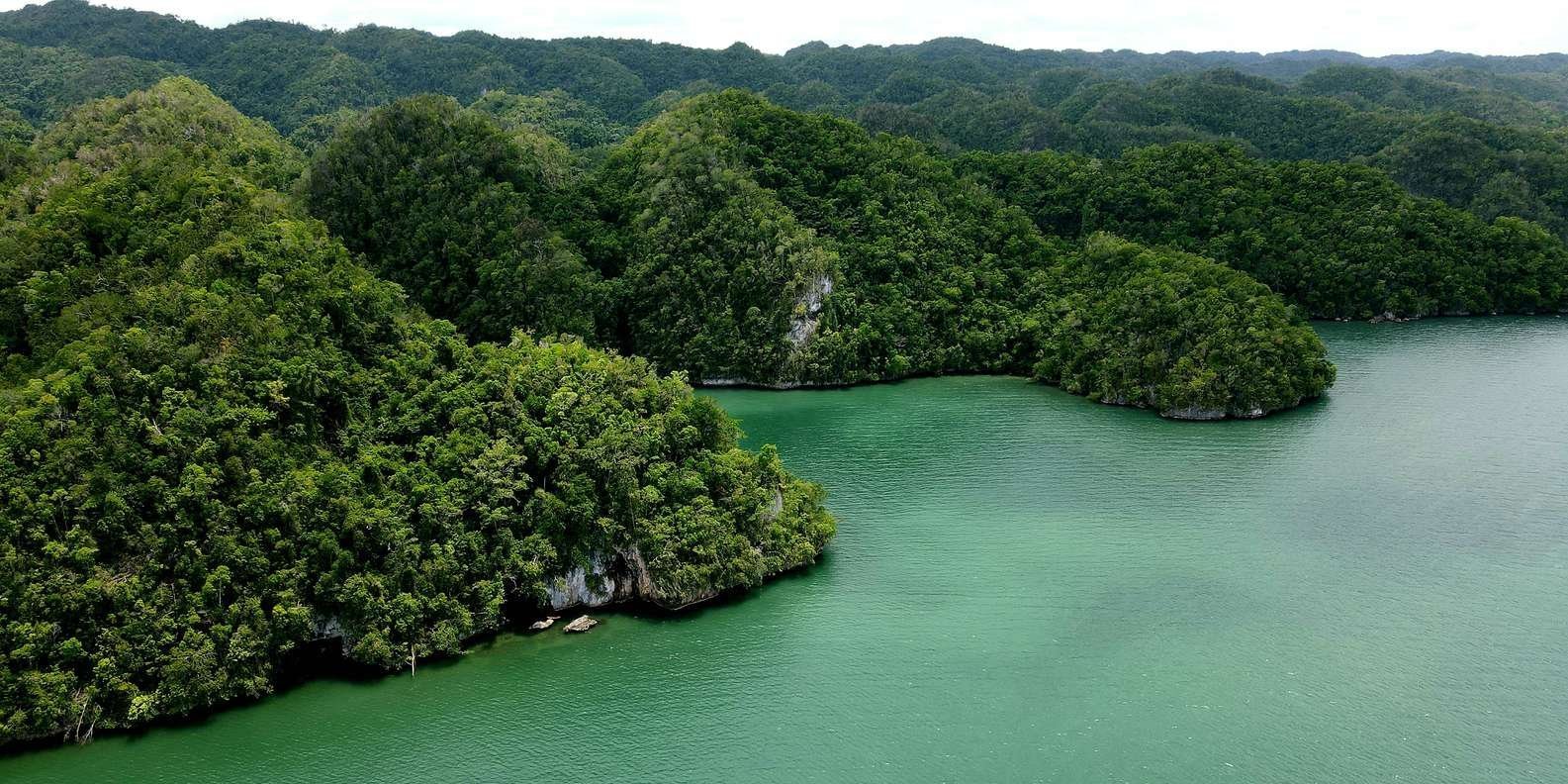 Los Haitises: Boat Excursion and Walking Tour with Lunch - Image 8