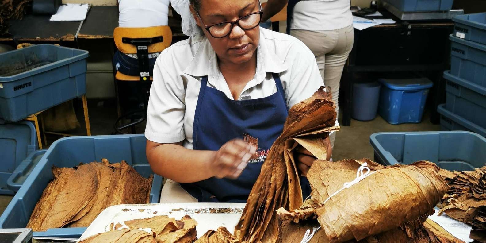 From Puerto Plata Priv: Cocoa, Coffee, Cigars & Local Market - Obrázek 9