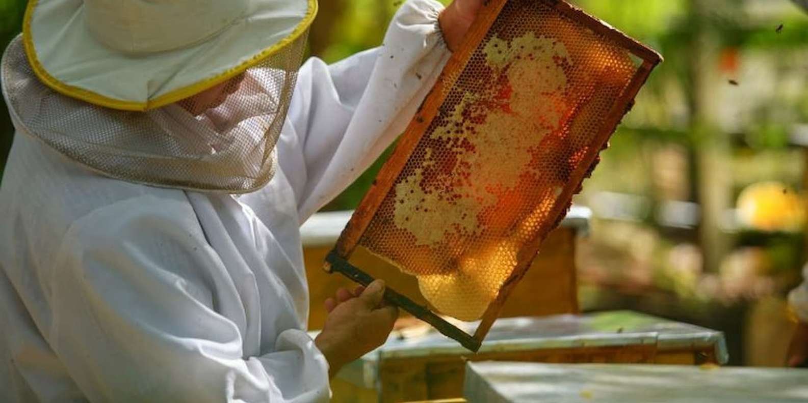 Eco Tour Finder - Image 9