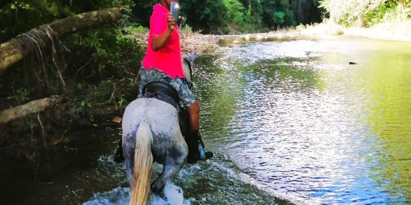 From Puerto Plata: Horseback ride along the mountain river - Obrázek 9