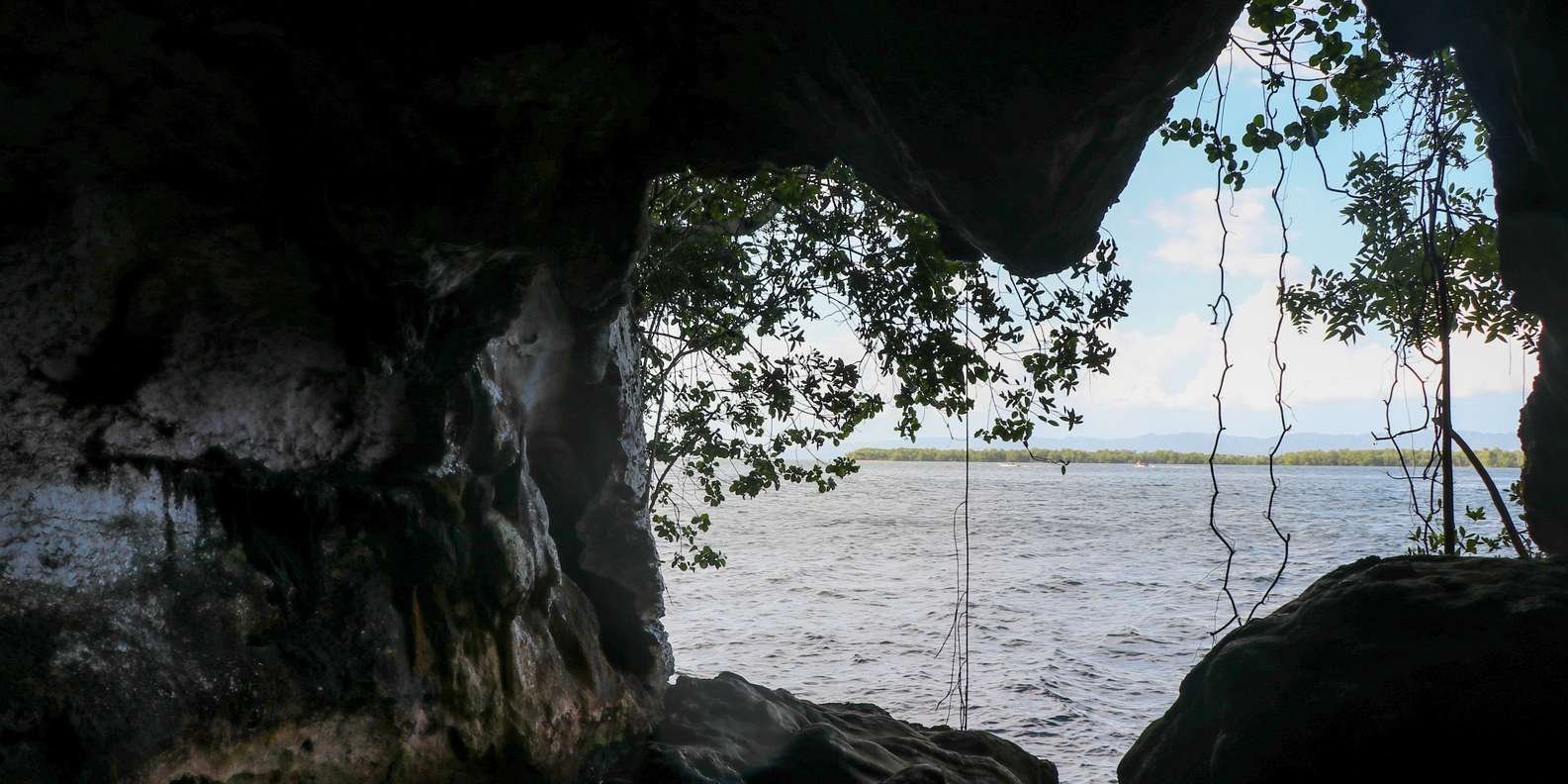 From Punta Cana: Los Haitises and Redonda Mountain Day Trip - Obrázek 11