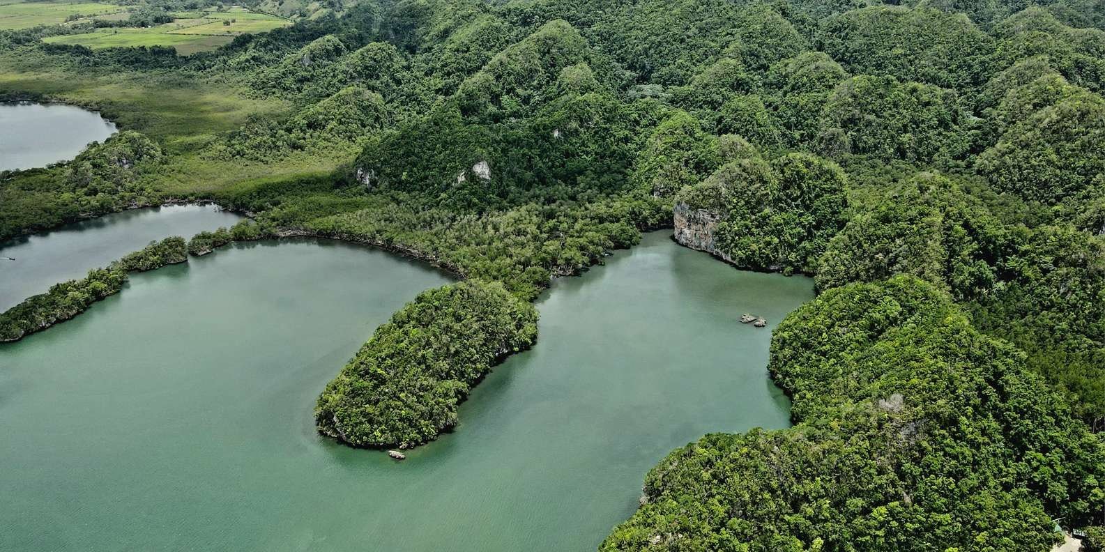 Los Haitises: Boat Excursion and Walking Tour with Lunch - Image 10