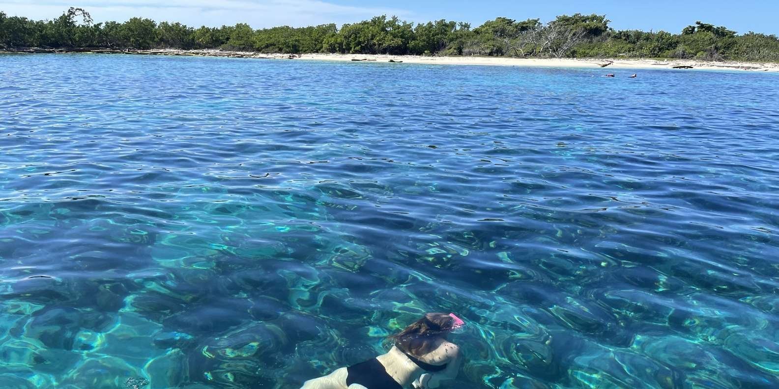 From Punta Cana: Small Group Catalina Island Snorkeling Tour - Obrázek 10