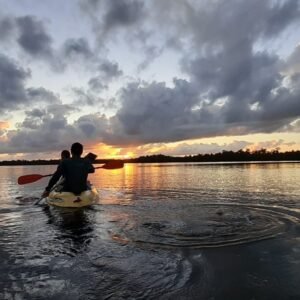 Caño Hondo : Los Haitises Sunrise or Sunset Private Kayak Excursion with Locals