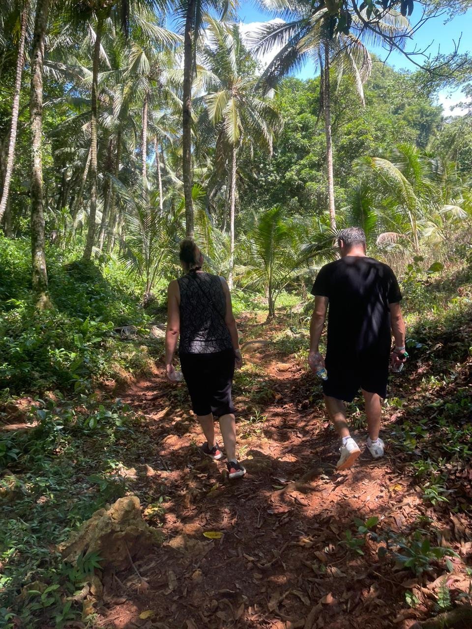 Sabana de la Mar: Private Los Haitises Hike and Kayak - Image 13